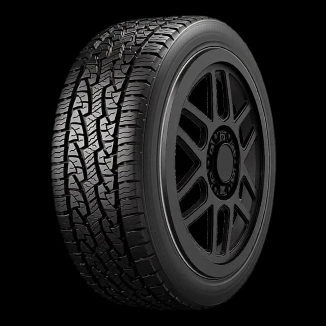 Nexen Roadian AT Pro RA8 all-terrain tire