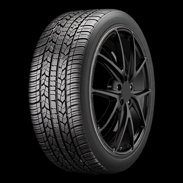 Goodyear Assurance CS Fuel Max tire