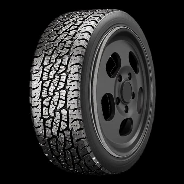 BF Goodrich Trail-Terrain T/A all-season tire