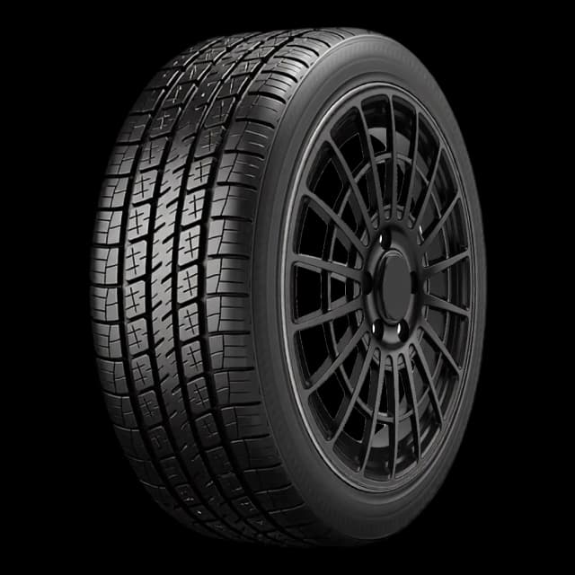 Evoluxx Capricorn 4X4 HP tire