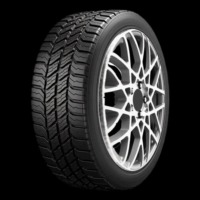 Michelin Agilis CrossClimate DT all-season tire